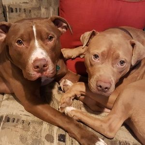 Meet your Posher, Teresa